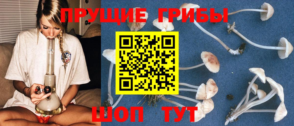 Черняховск  Галлюциногенные грибы прущие грибы  Вход с VPN 